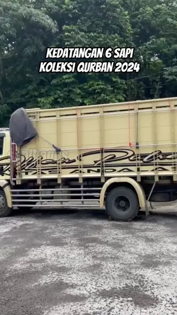 Kedatangan-6-Sapi-Koleksi-Qurban-2024